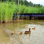 Klimatyzowany Z Sauna W Lesie Z Posesja Na Wylacznosc Mazury 度假居 *
