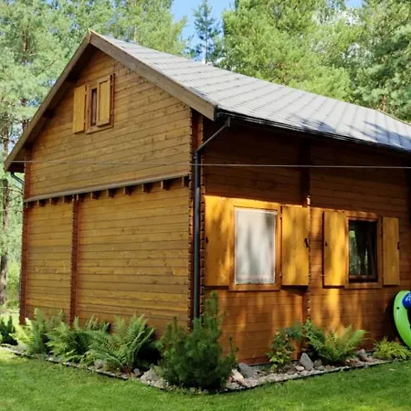 Pod Sosnami Z Posesja Na Wylacznosc Mazury 別荘 Prażmowo